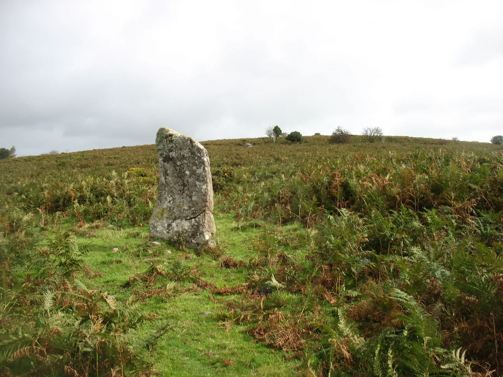 Butterdon Hill (Moretonhampstead)