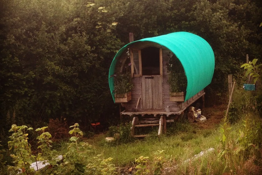 Chagfood Community Market Garden