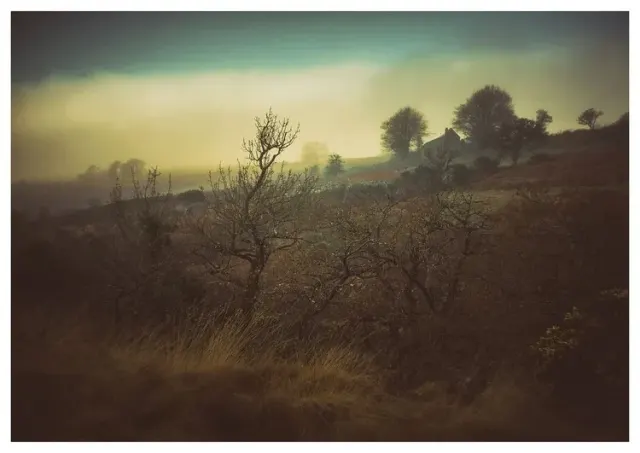 Halstock Hill