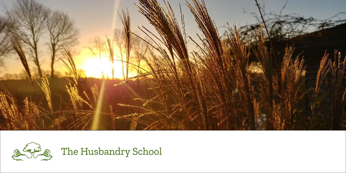 The Husbandry School