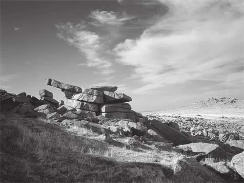 Dartmoor Perspectives
