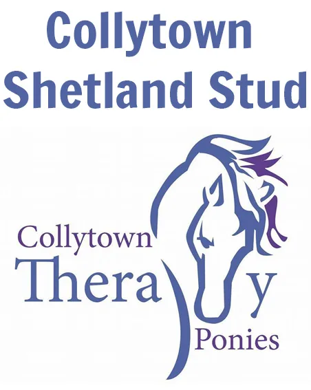 Collytown Therapy Ponies