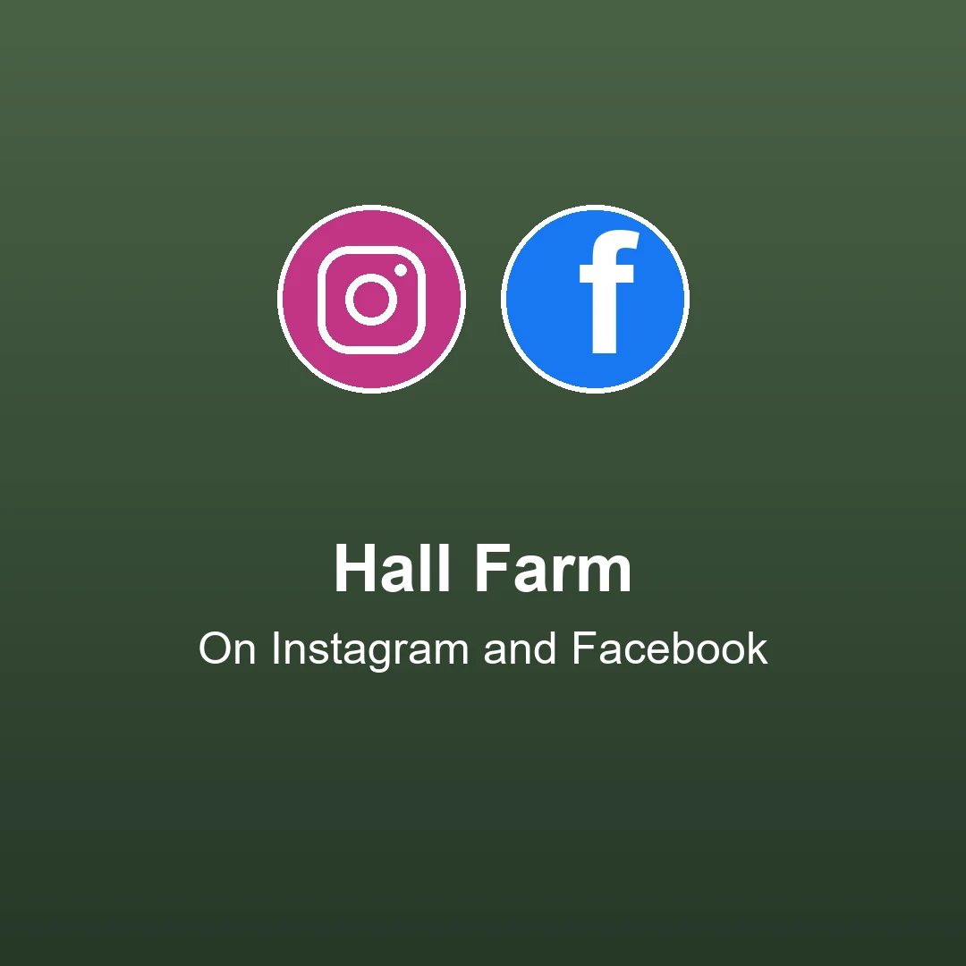 Hall Farm