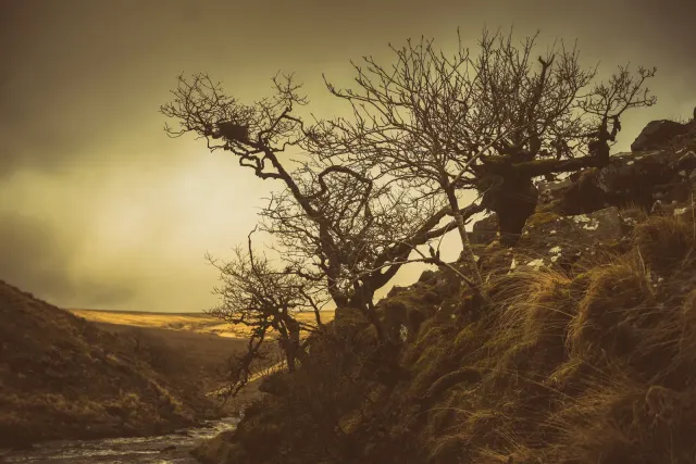 Amicombe Brook
