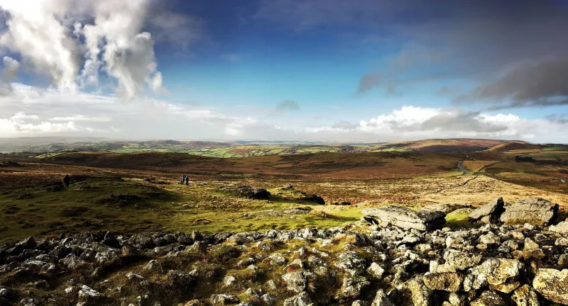 Dartmoor Nature Alliance