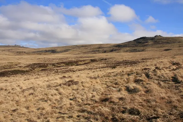 Walla Brook (Doe Tor, River Lyd)