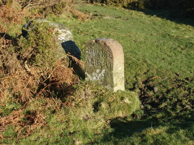 Boundary Stone near The Haytor Road