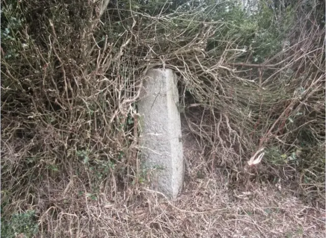 Direction Post