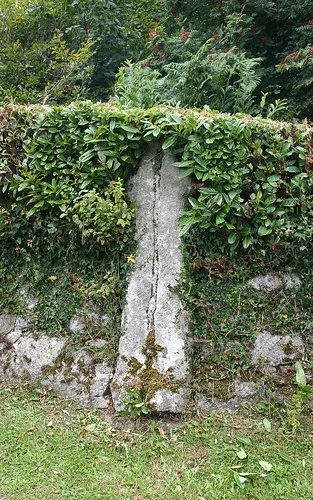 Cross About near South Harton Farm Gate