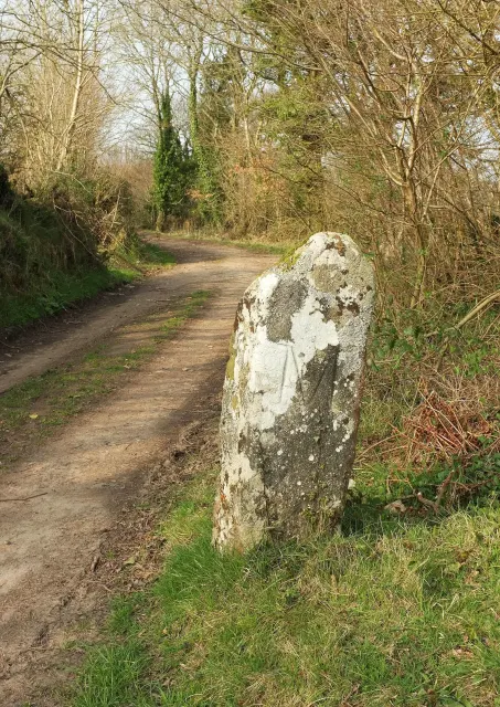 Wayside Stone, SX 742 887