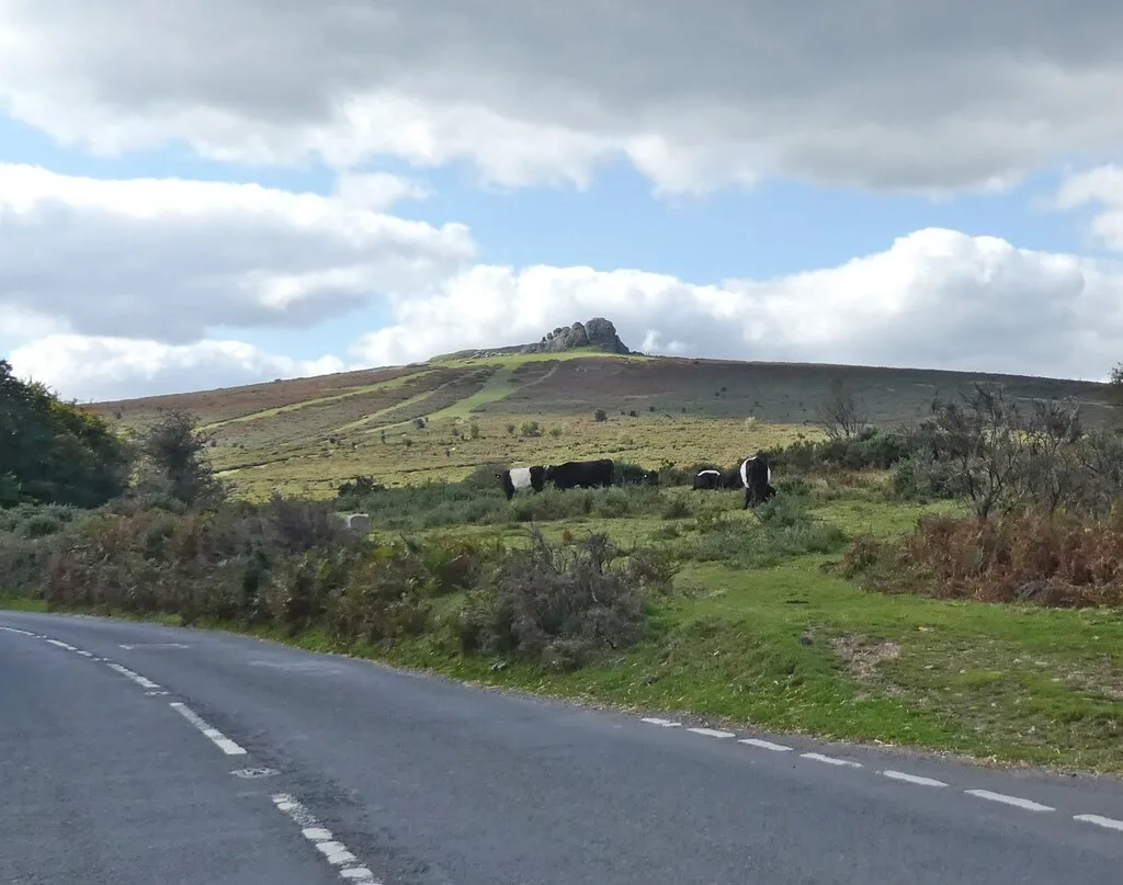 Direction Post On South East Side Of Haytor Down, On North West Side Of The Road About 60 Metres North East Of The Turning To Haytor Vale