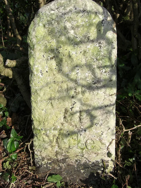 Milestone Approximately near Furzeleigh Mill Country House Hotel