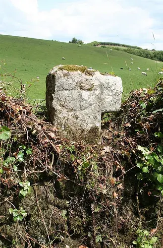Cross Fragment, SX 678891