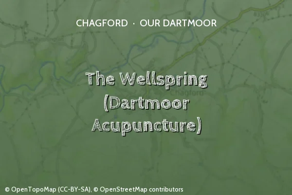 The Wellspring (Dartmoor Acupuncture)