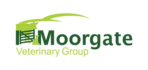 Moorgate Veterinary Group