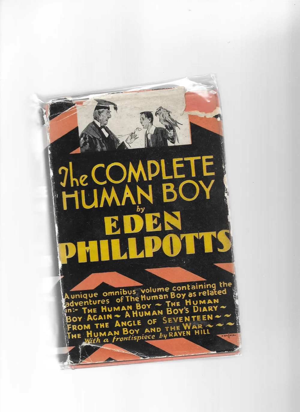 Human Boy