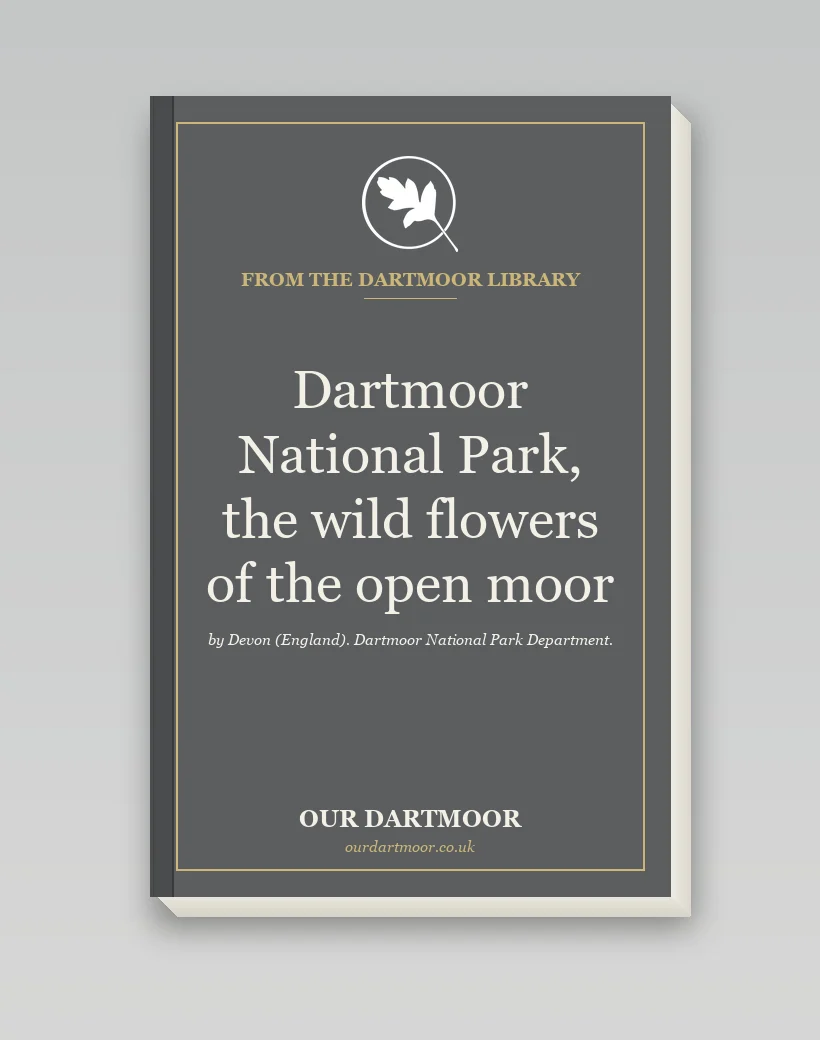 Dartmoor National Park, the wild flowers of the open moor
