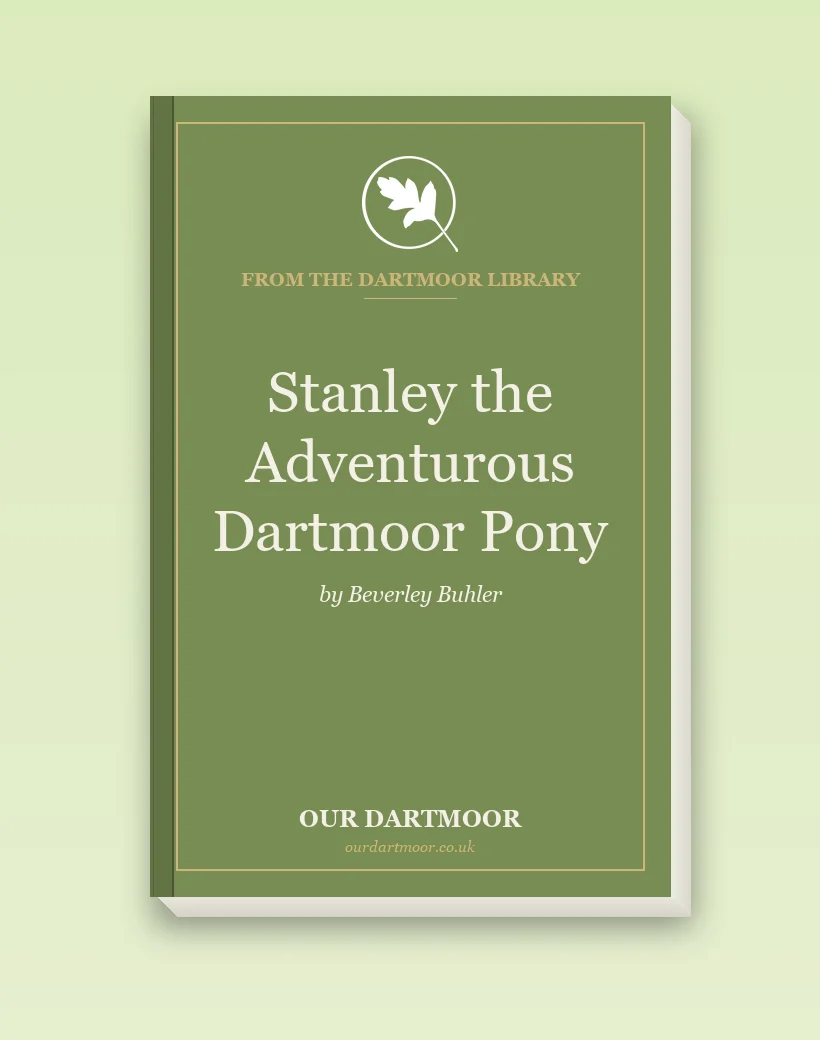 Stanley the Adventurous Dartmoor Pony