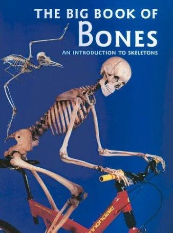 The book of bones