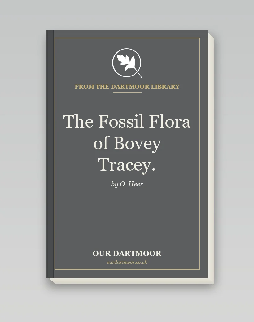 The Fossil Flora of Bovey Tracey.