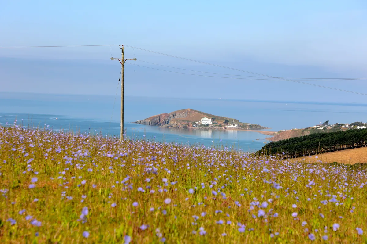 Higher Aunemouth Camping