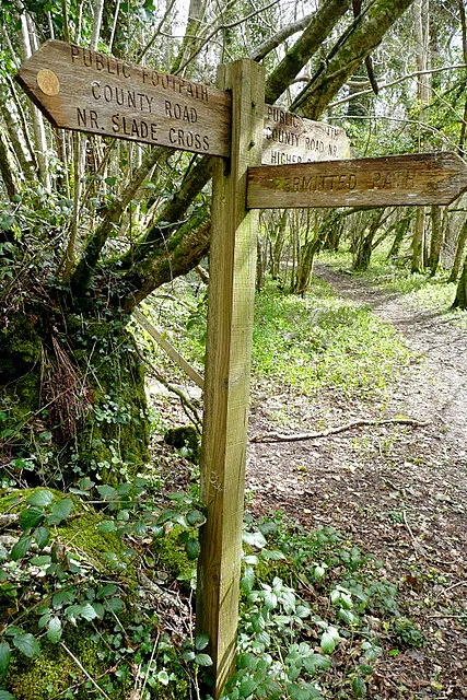 Northcombe Copse Tor