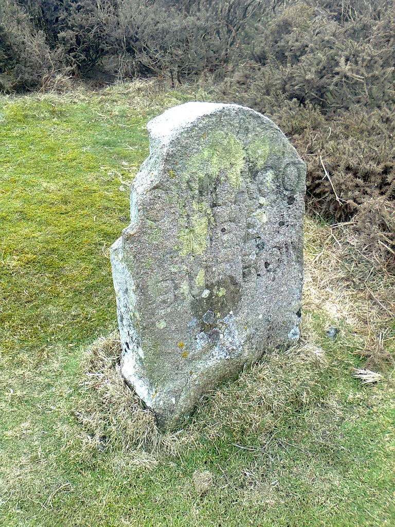 Owlacombe Burrow Rock
