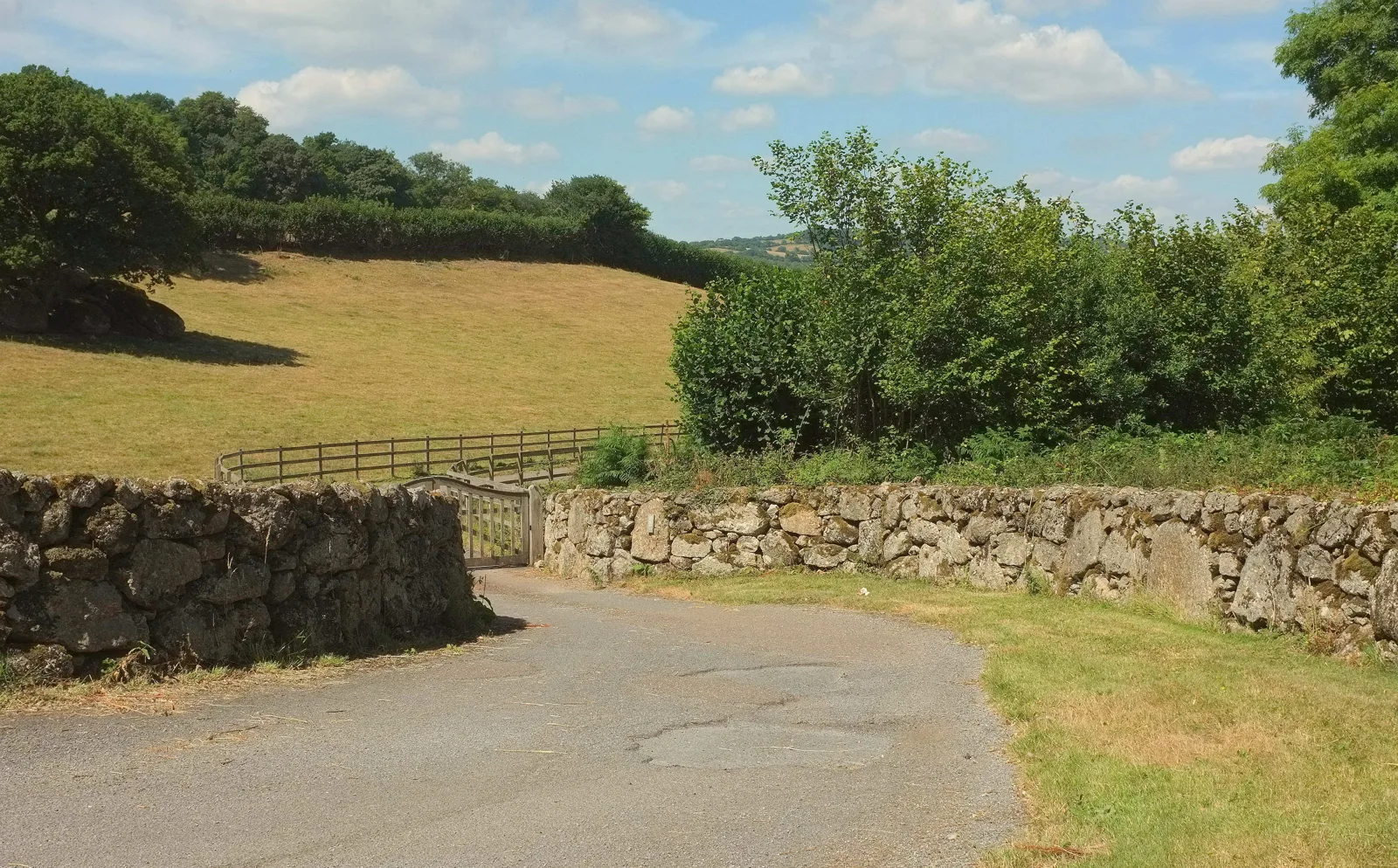 Willmead Tor