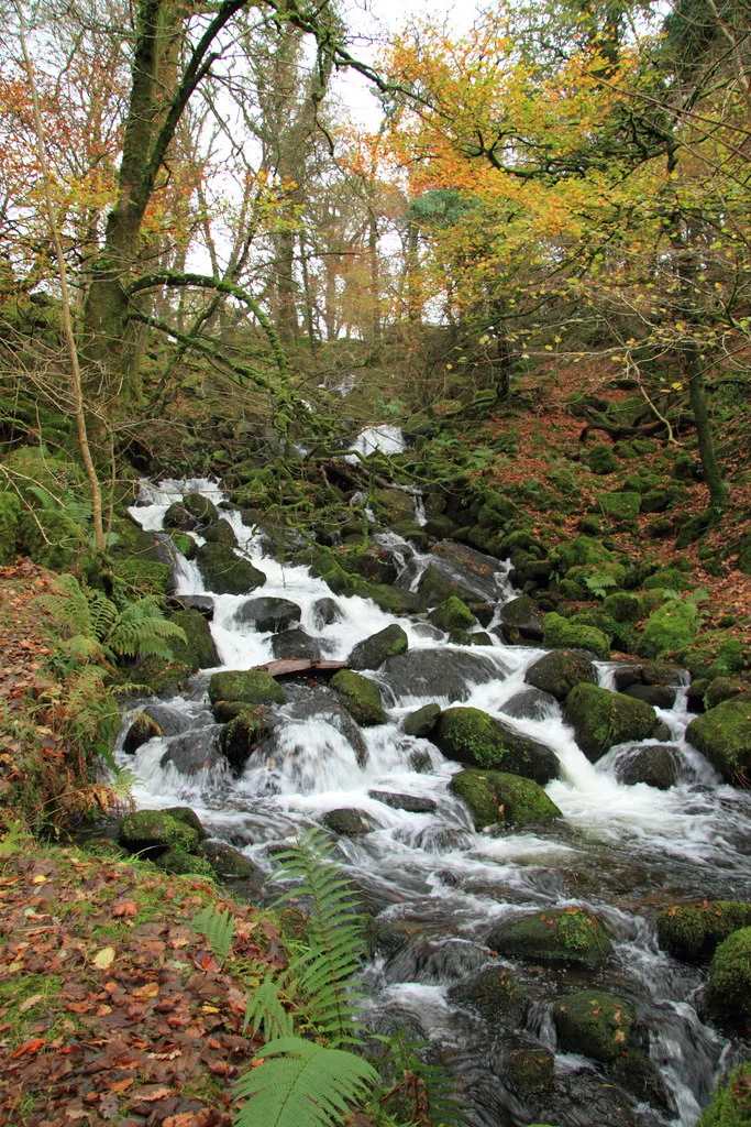 Burrator Waterfall