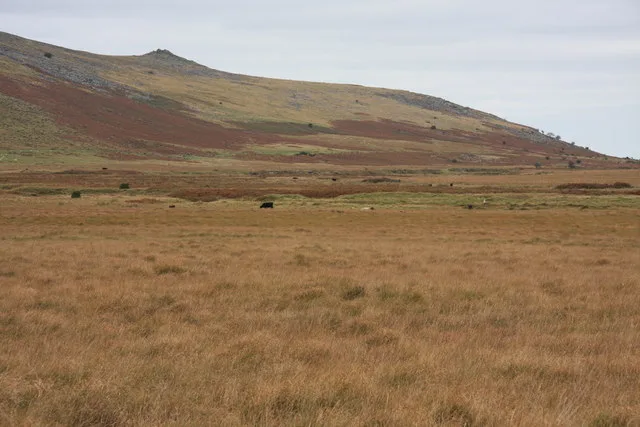 Taw Marsh