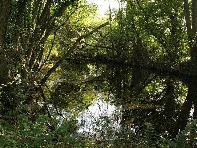 Stover Canal