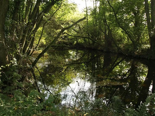 Stover Canal