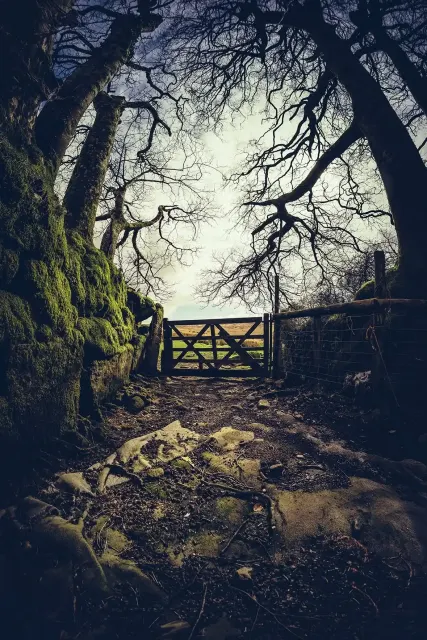 Doe Tor Farm