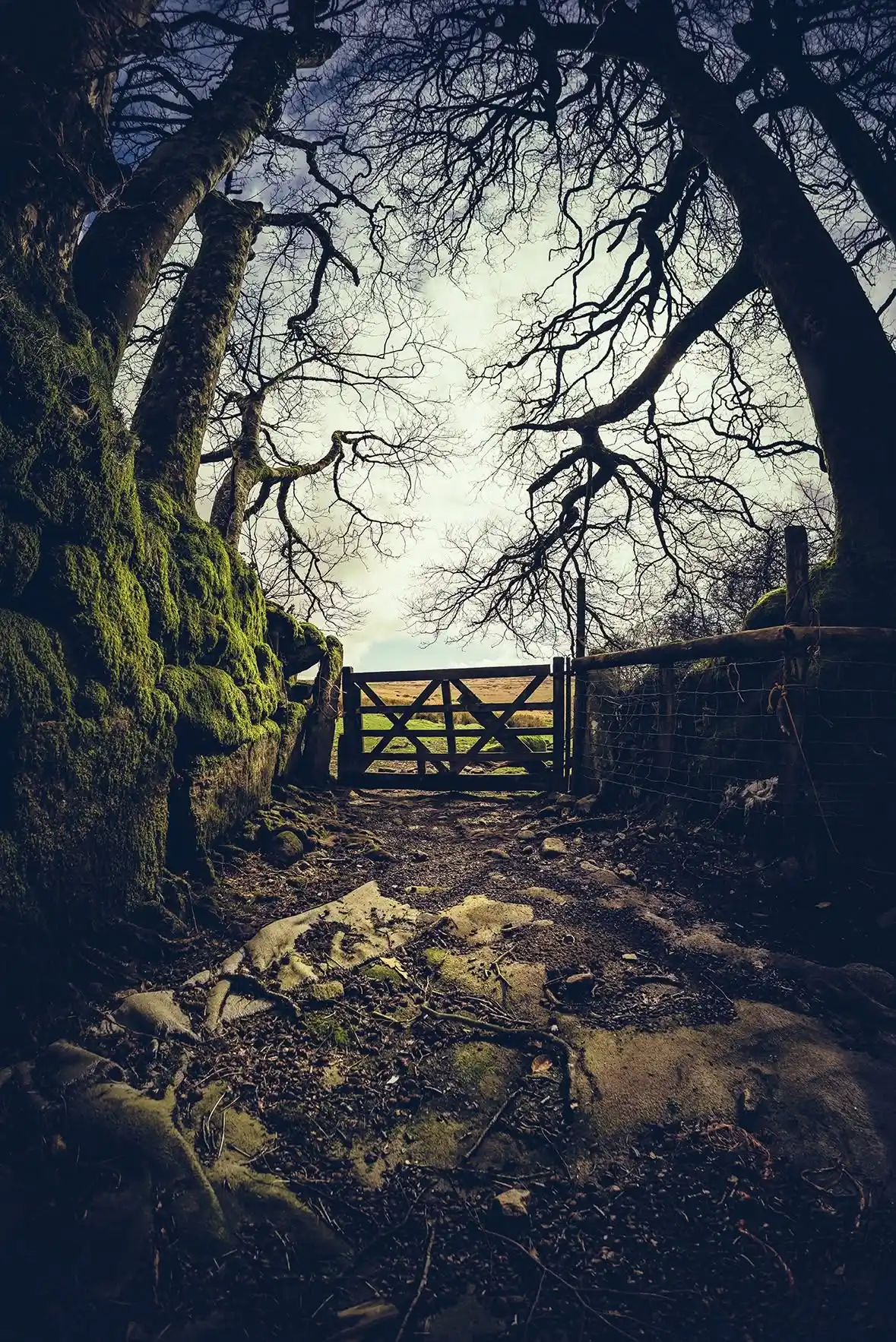 Doe Tor Farm