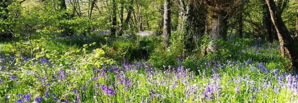 Wray Valley Camping