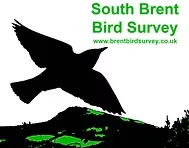 Brent Birders