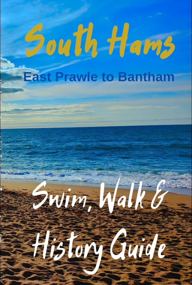 South Hams Central: Swim, Walk & History