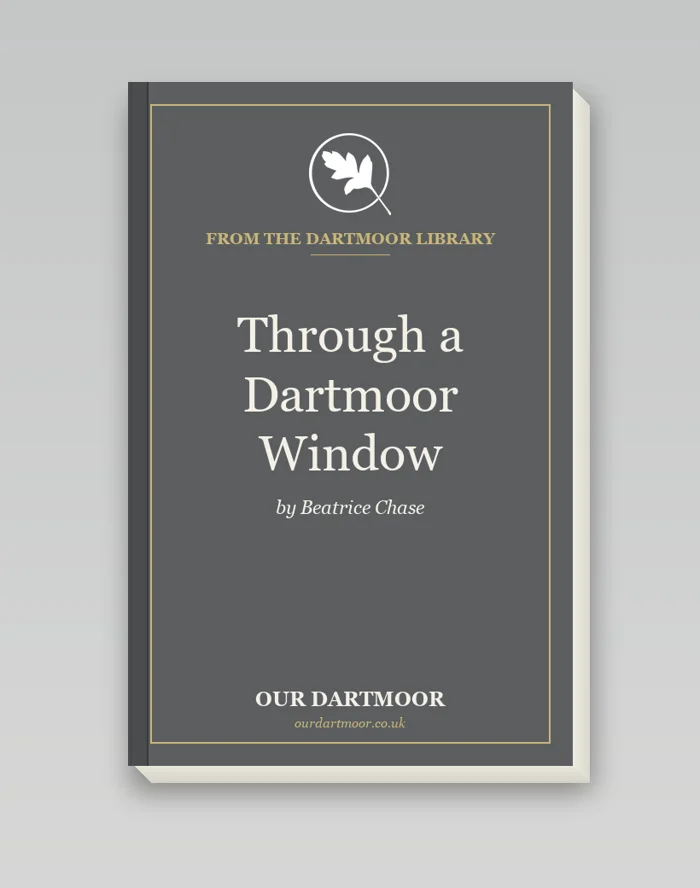 Through a Dartmoor Window