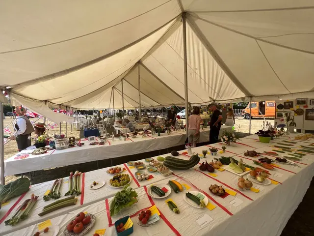 Manaton Show and Fair
