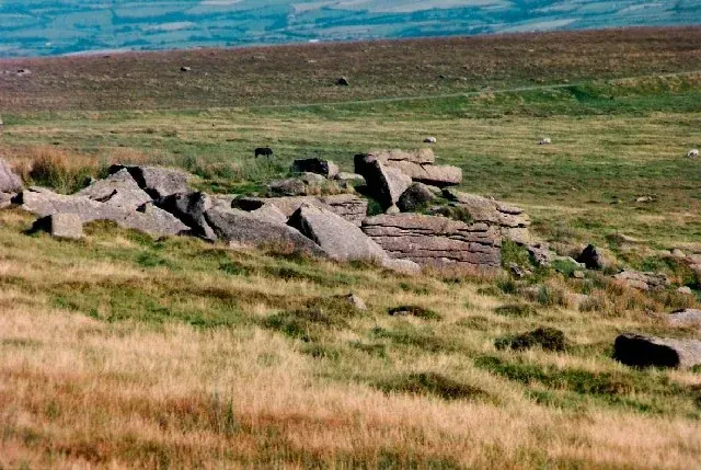 Sharp Tor, Harford Moor