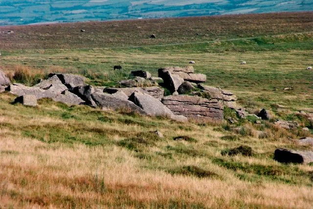 Sharp Tor, Harford Moor