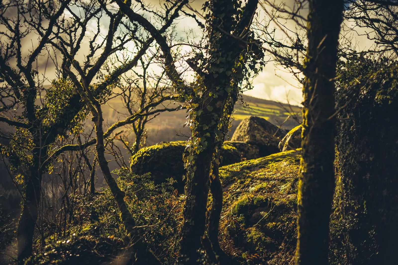 Sharpitor, Lustleigh