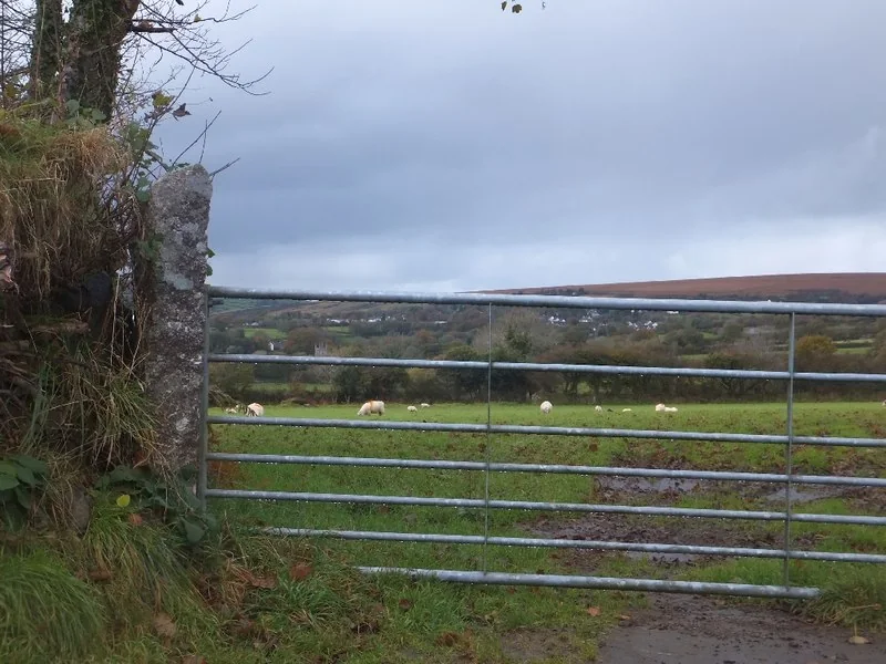 Fox Tor, Mary Tavy