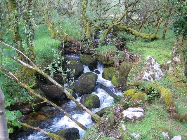 Walla Brook (Babeny, East Dart)