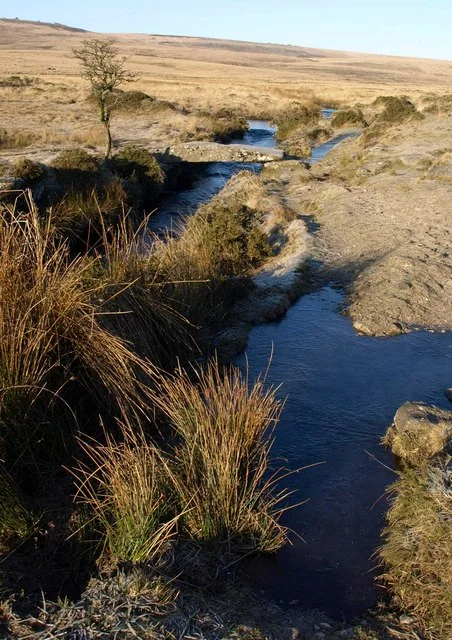Walla Brook (Hangingstone Hill, North Teign)