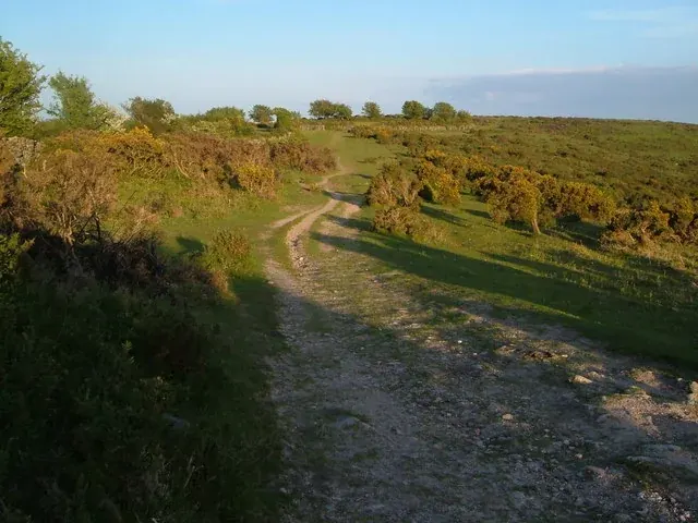 Dr Blackall's Drive