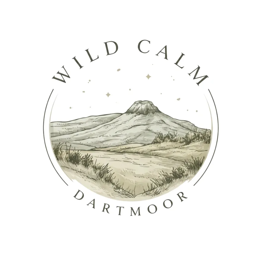 Wild Calm Dartmoor
