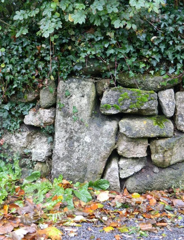 Postbridge Cross (Maggie Cross)