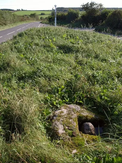 Browney Cross socket stone (Shaugh Prior)
