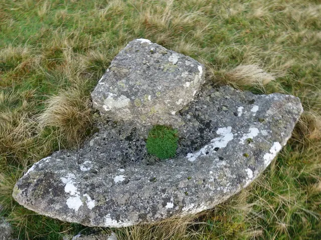 Belstone Common Apple Crusher (Quadrant)
